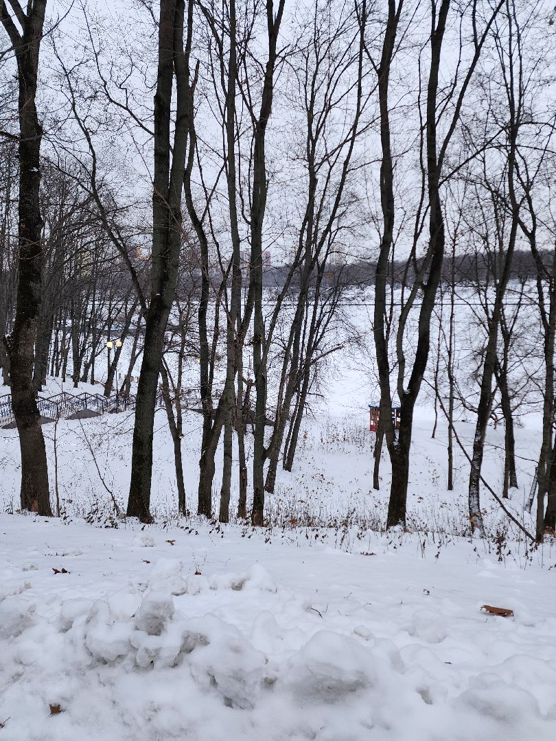 Парки, благоустройство, химки,