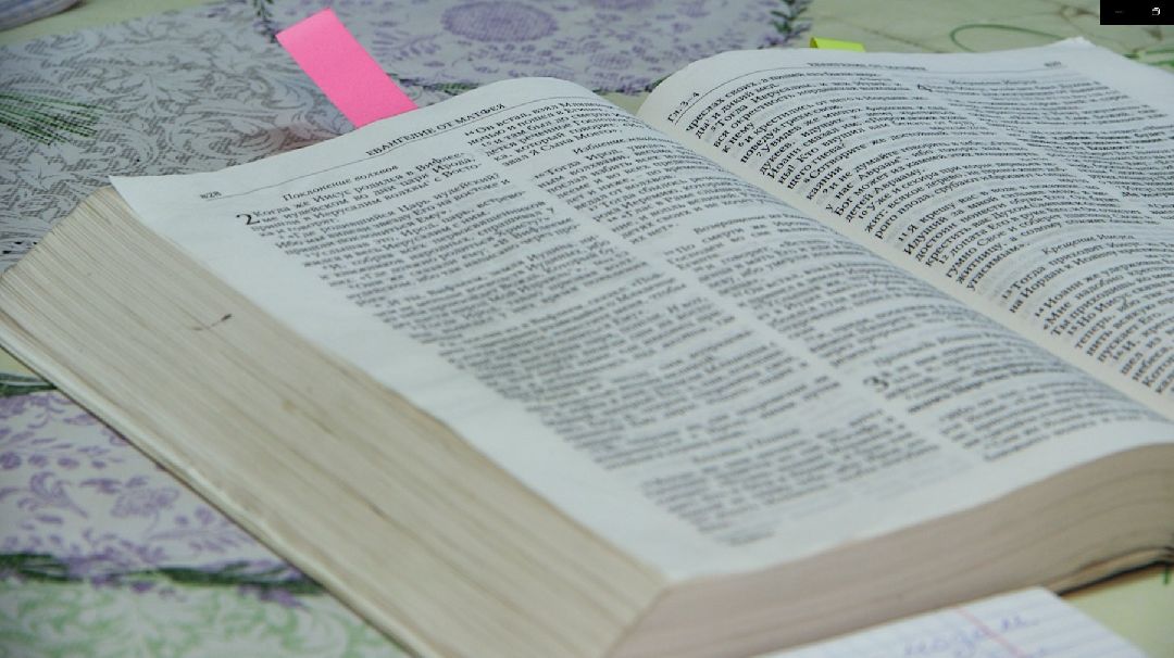 Дмитров, общество