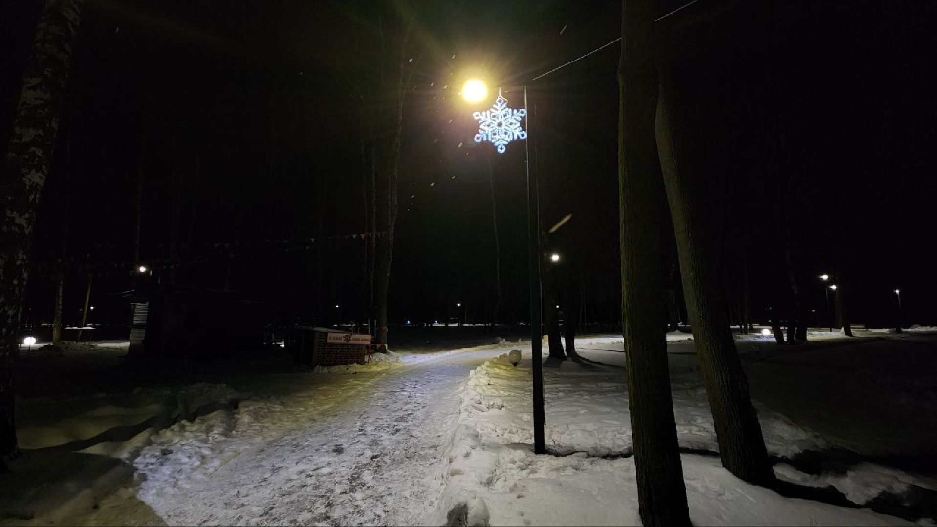 парк, зима, Лосино-Петровский,