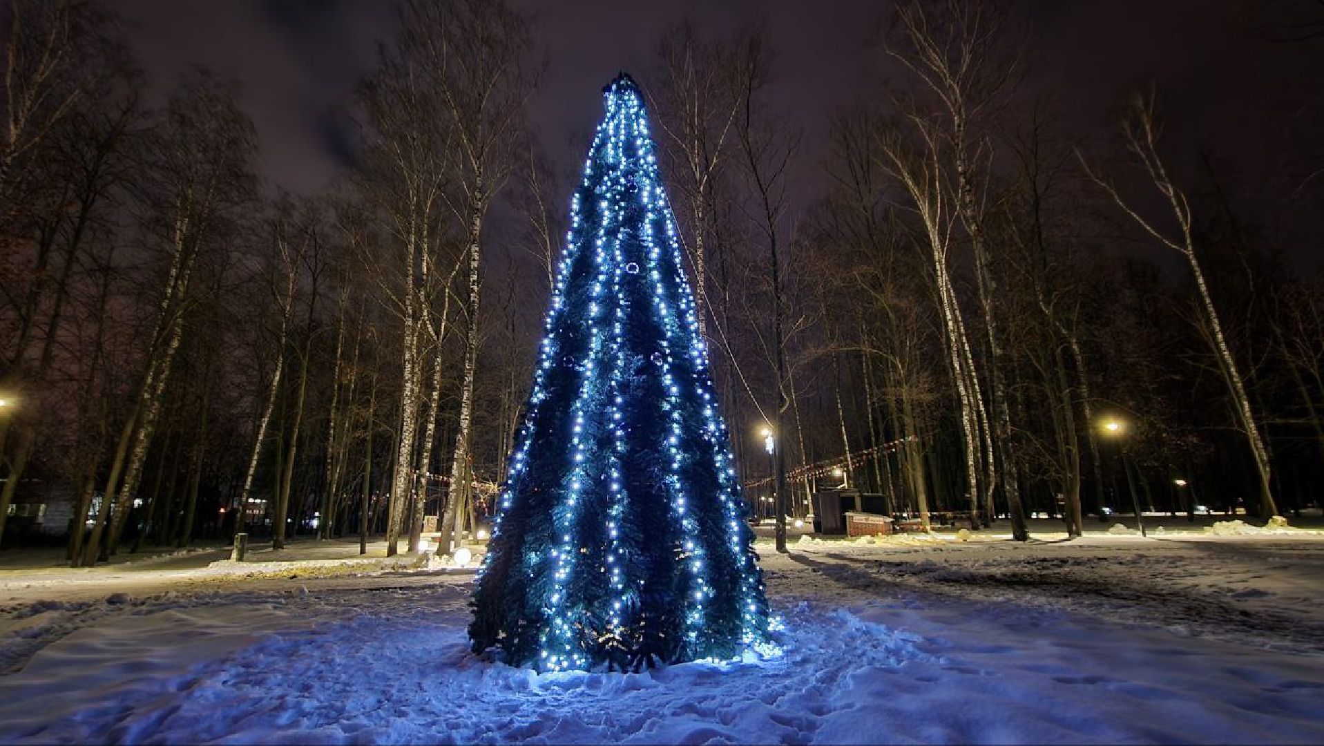 парк, зима, Лосино-Петровский,