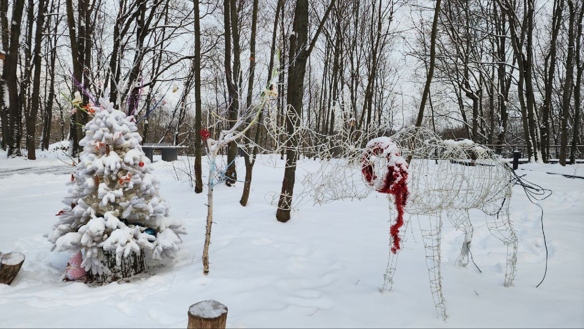 парк, зима, Лосино-Петровский,
