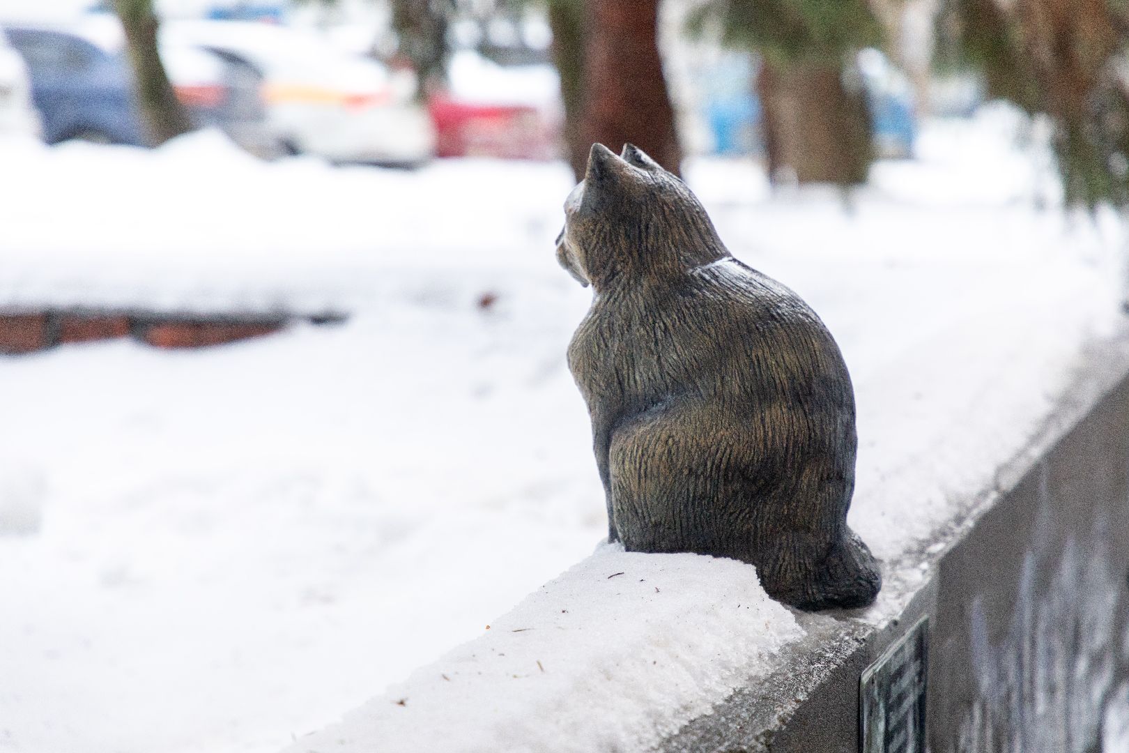 лыткарино, общество, кошка, скульптура, памятник,
