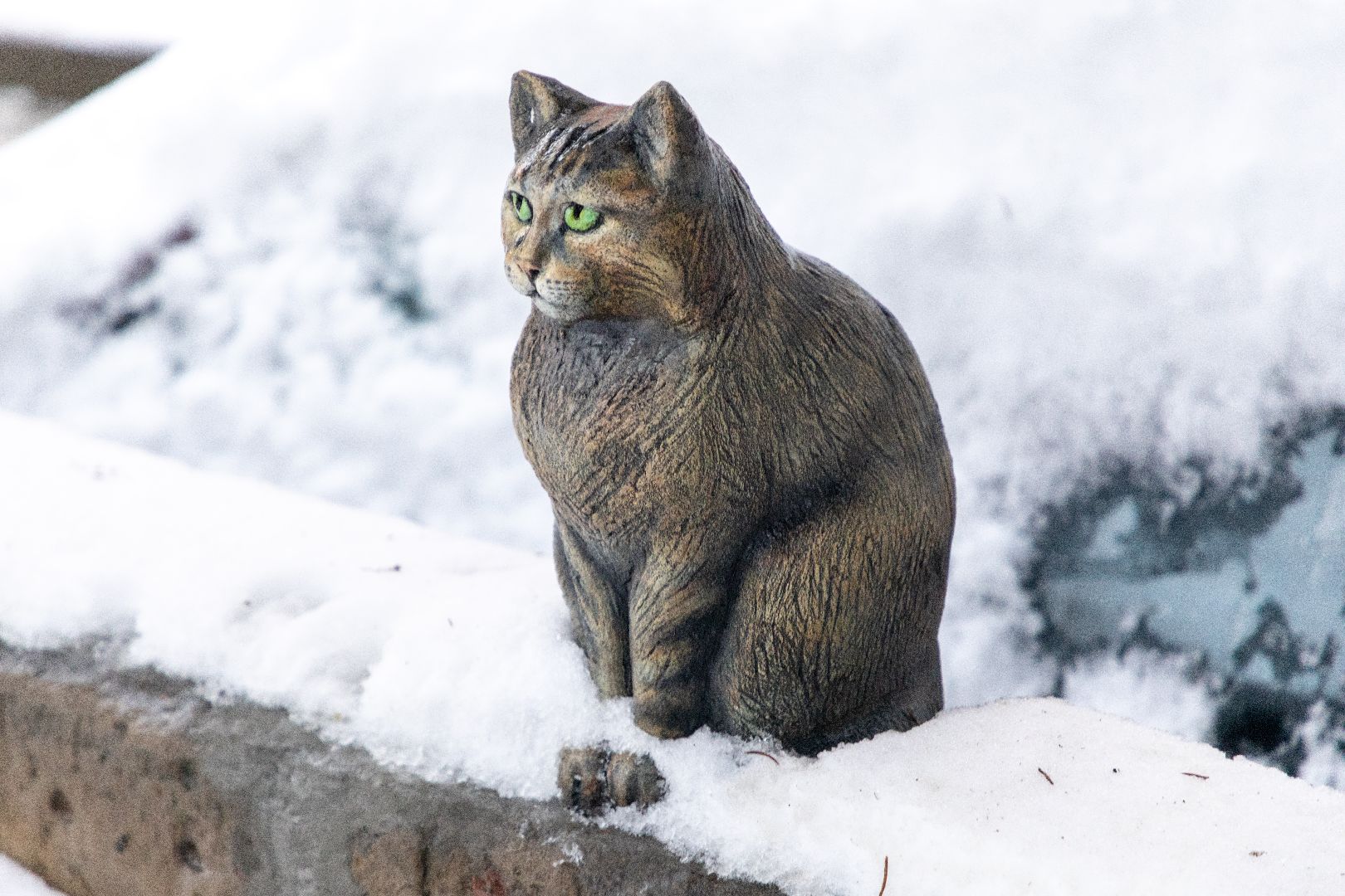 лыткарино, общество, кошка, скульптура, памятник,
