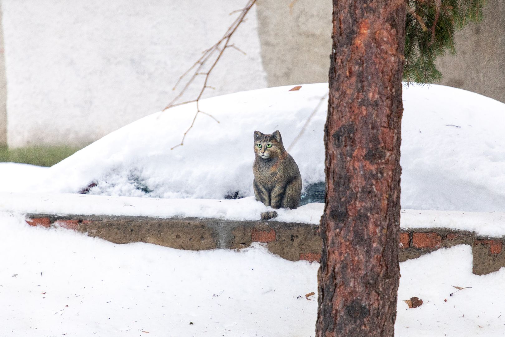 лыткарино, общество, кошка, скульптура, памятник,