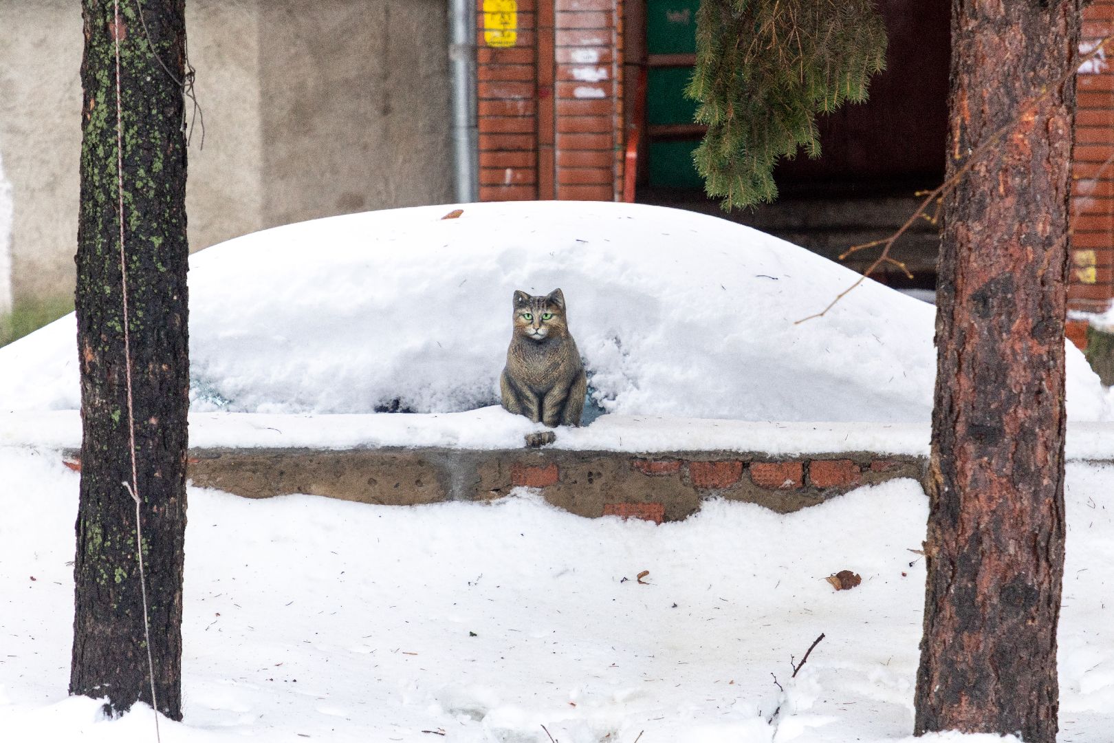 лыткарино, общество, кошка, скульптура, памятник,