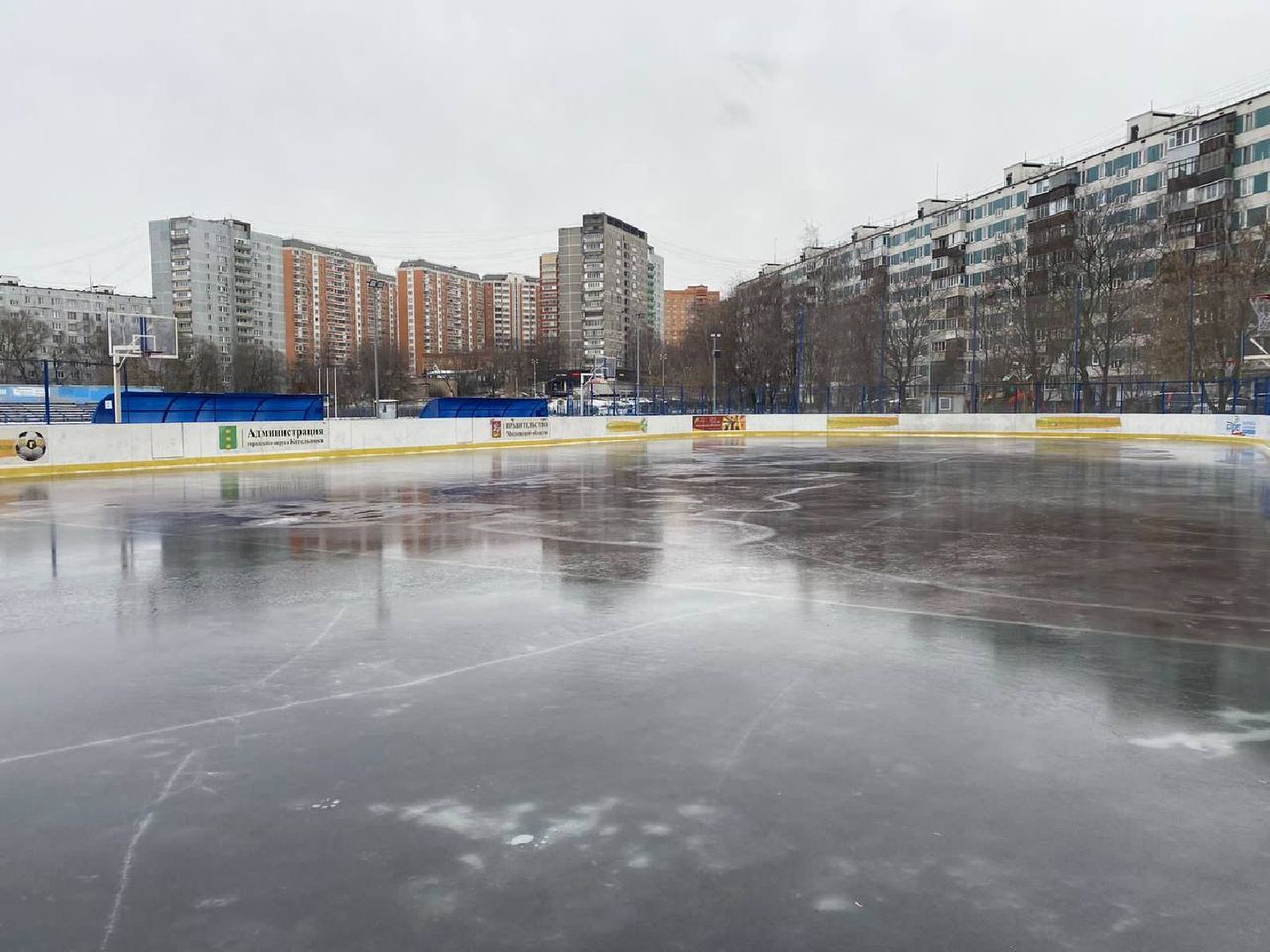городские катки, заливка катков, кузьминский лесопарк, зима в подмосковье,