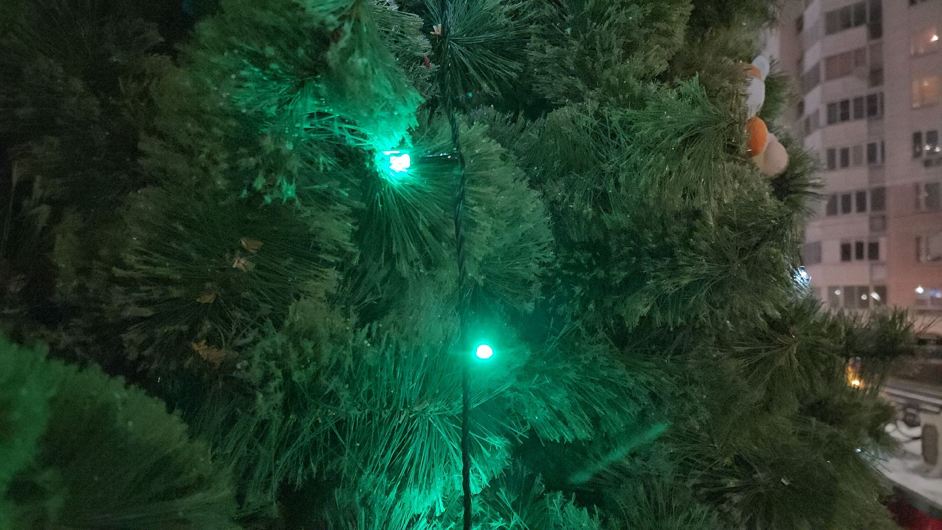 Подольск, Праздник, новый год, ёлка, зимавподмосковье2024,