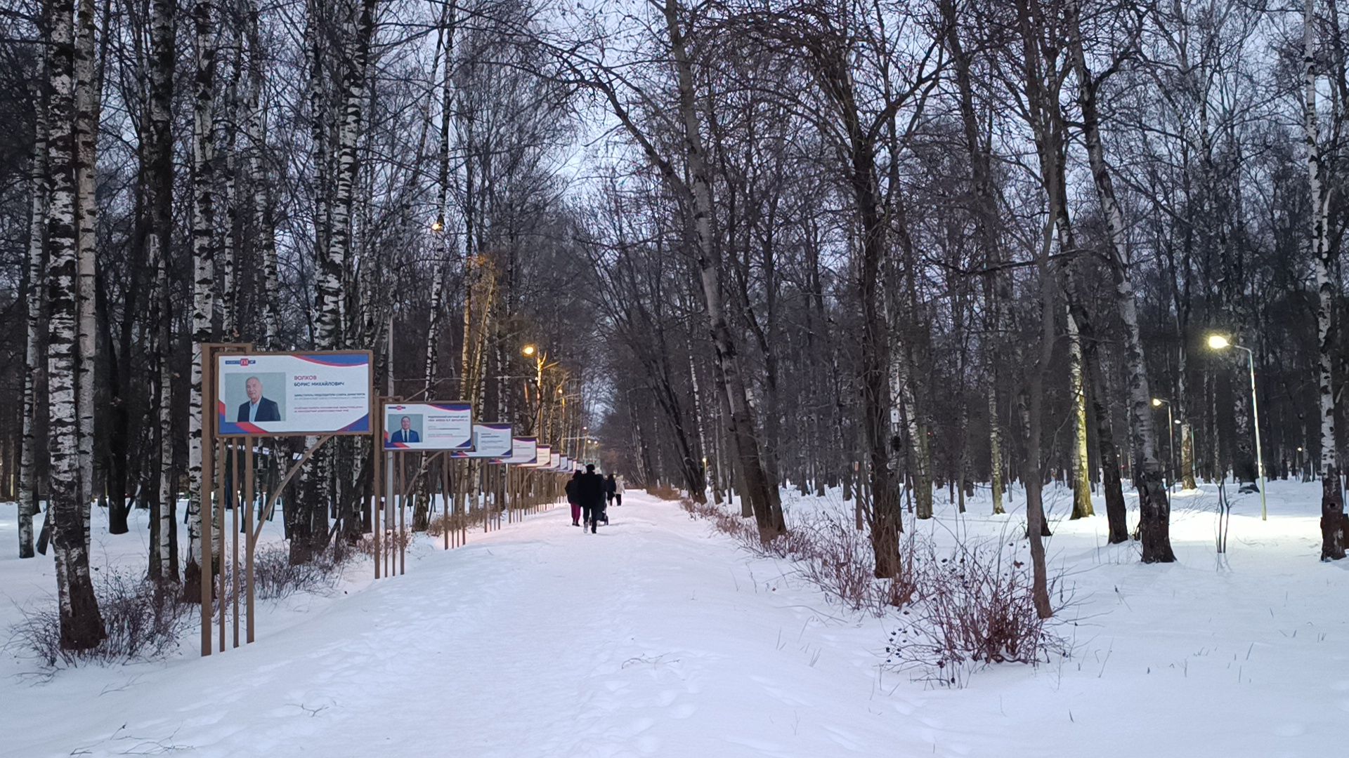 парк, реконструкция, лобня,