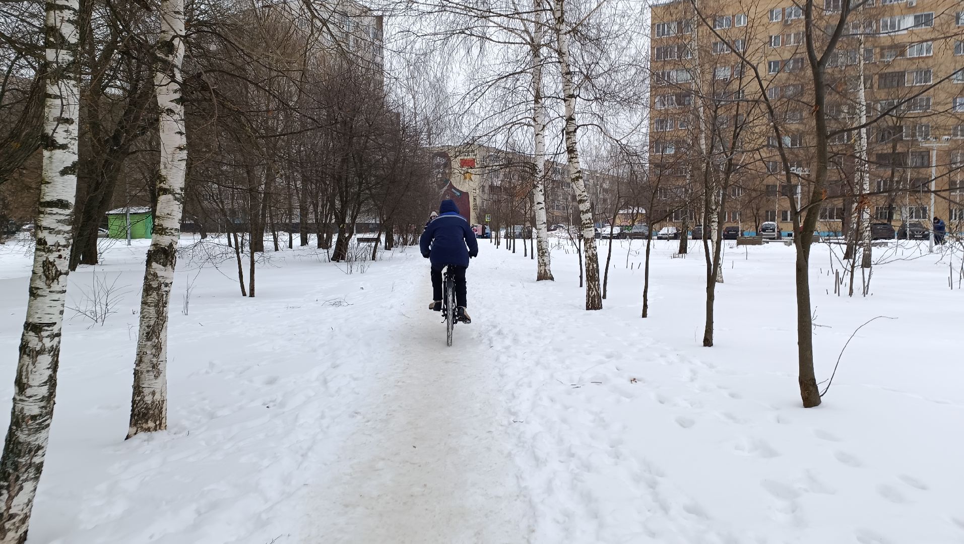 парк, реконструкция, лобня,