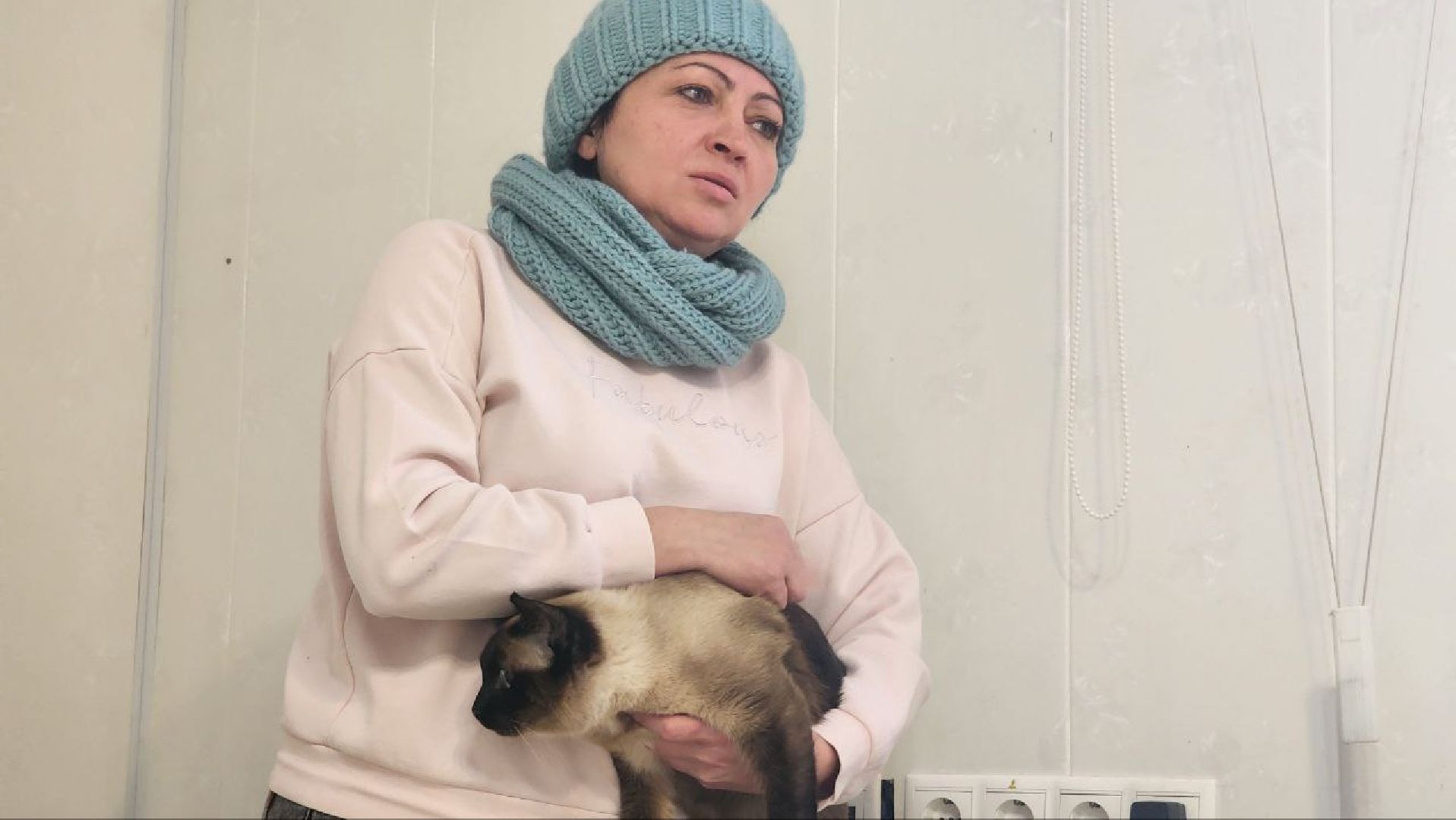 Дмитров, Дмитровская государственная ветеринарная клиника, Минсельхоз,