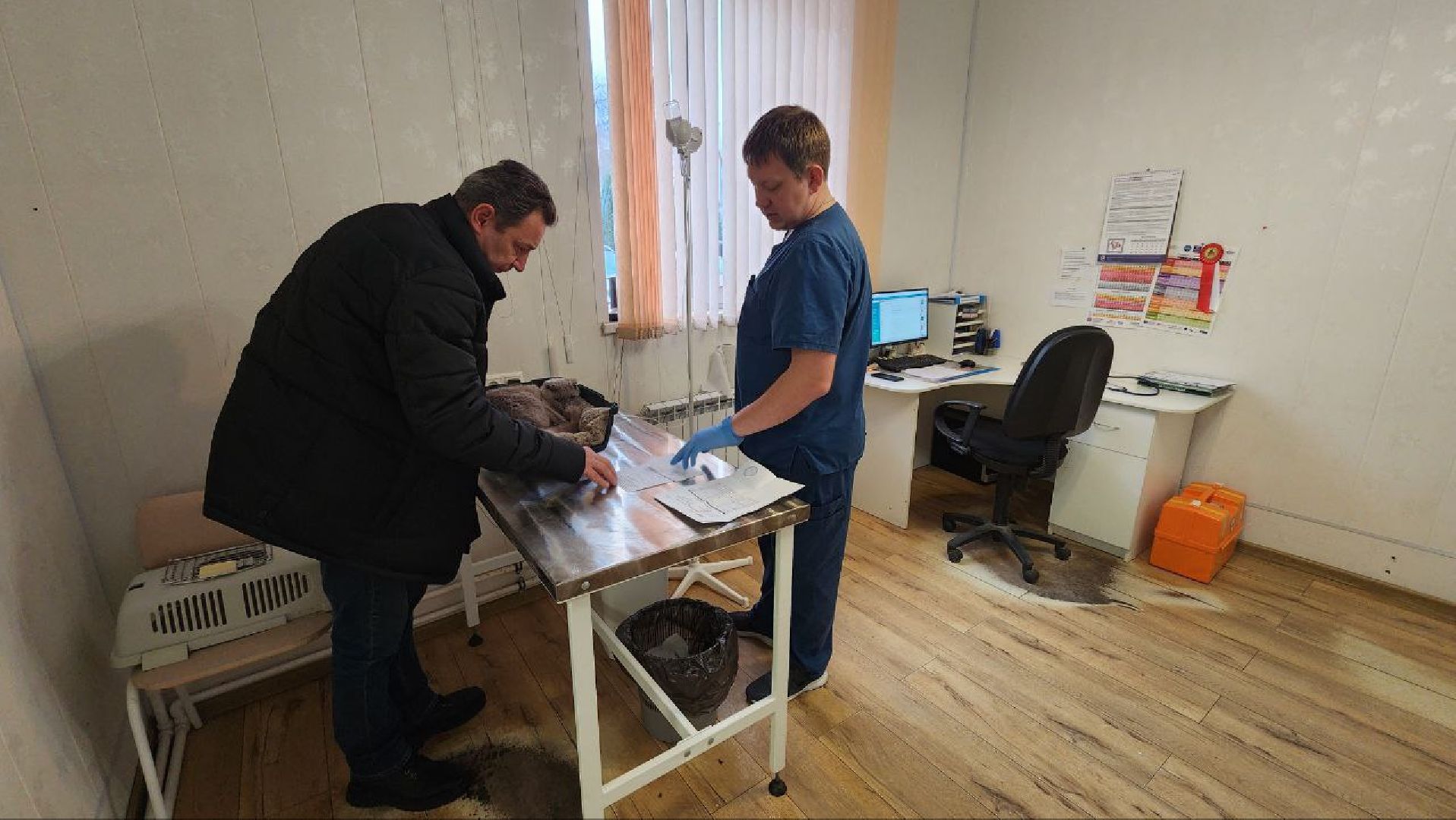 Дмитров, Дмитровская государственная ветеринарная клиника, Минсельхоз,