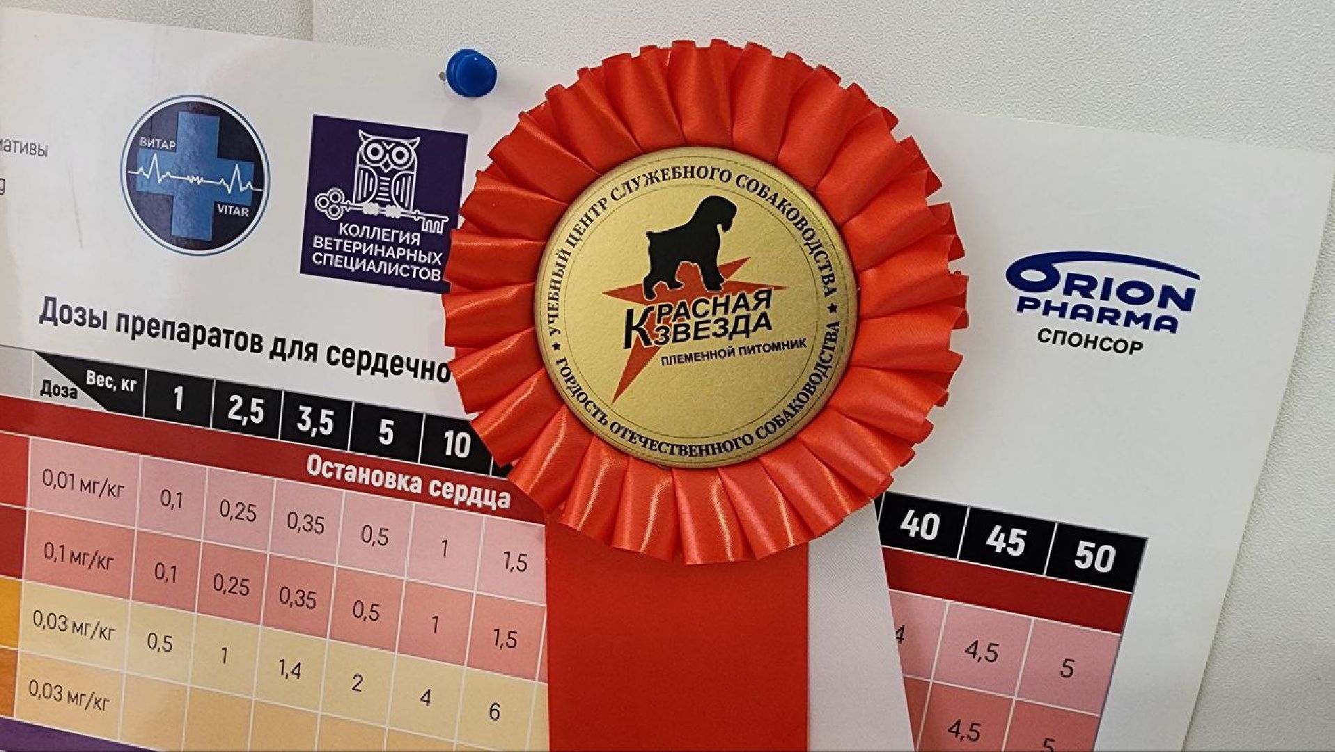 Дмитров, Дмитровская государственная ветеринарная клиника, Минсельхоз,