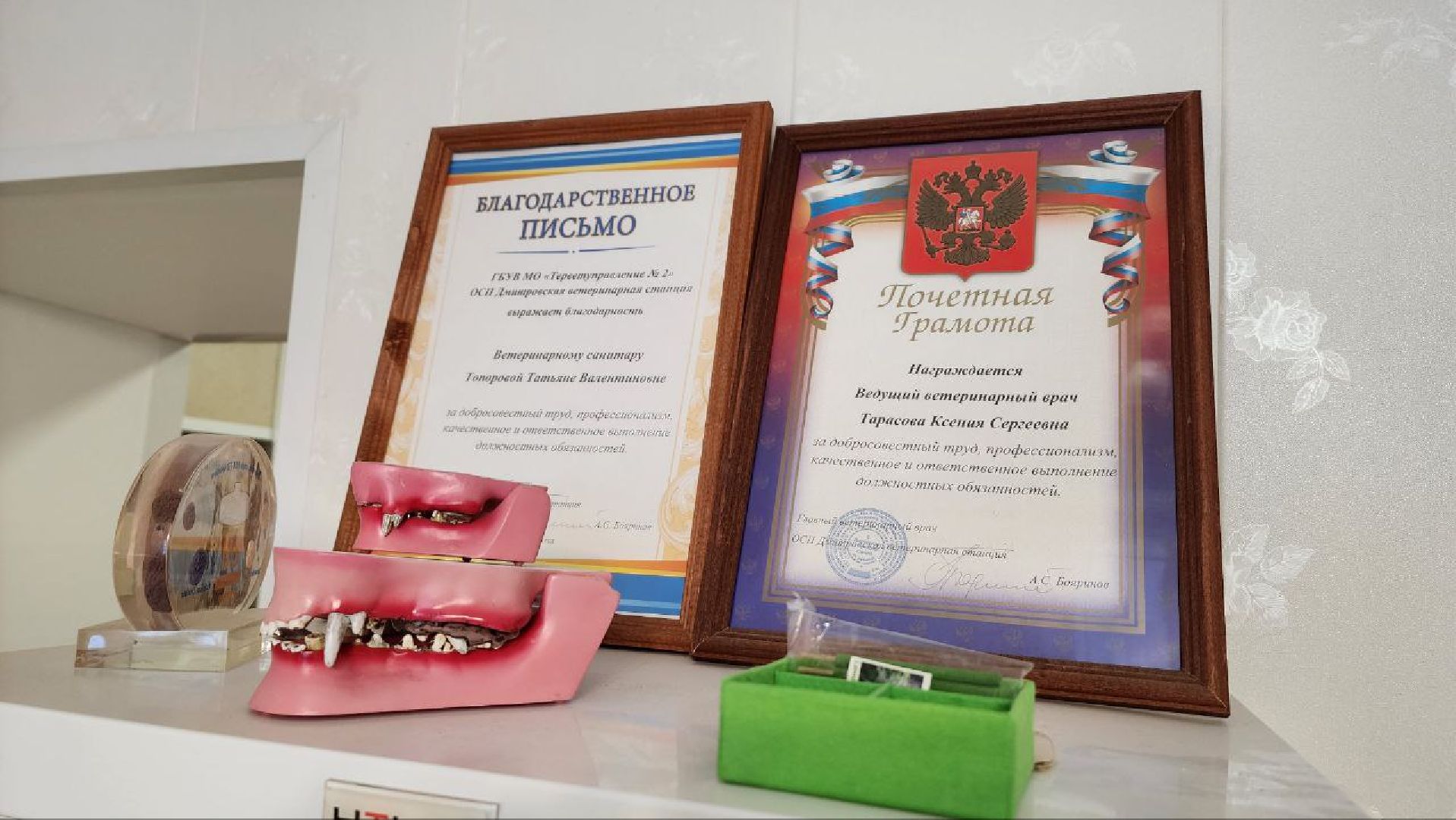 Дмитров, Дмитровская государственная ветеринарная клиника, Минсельхоз,