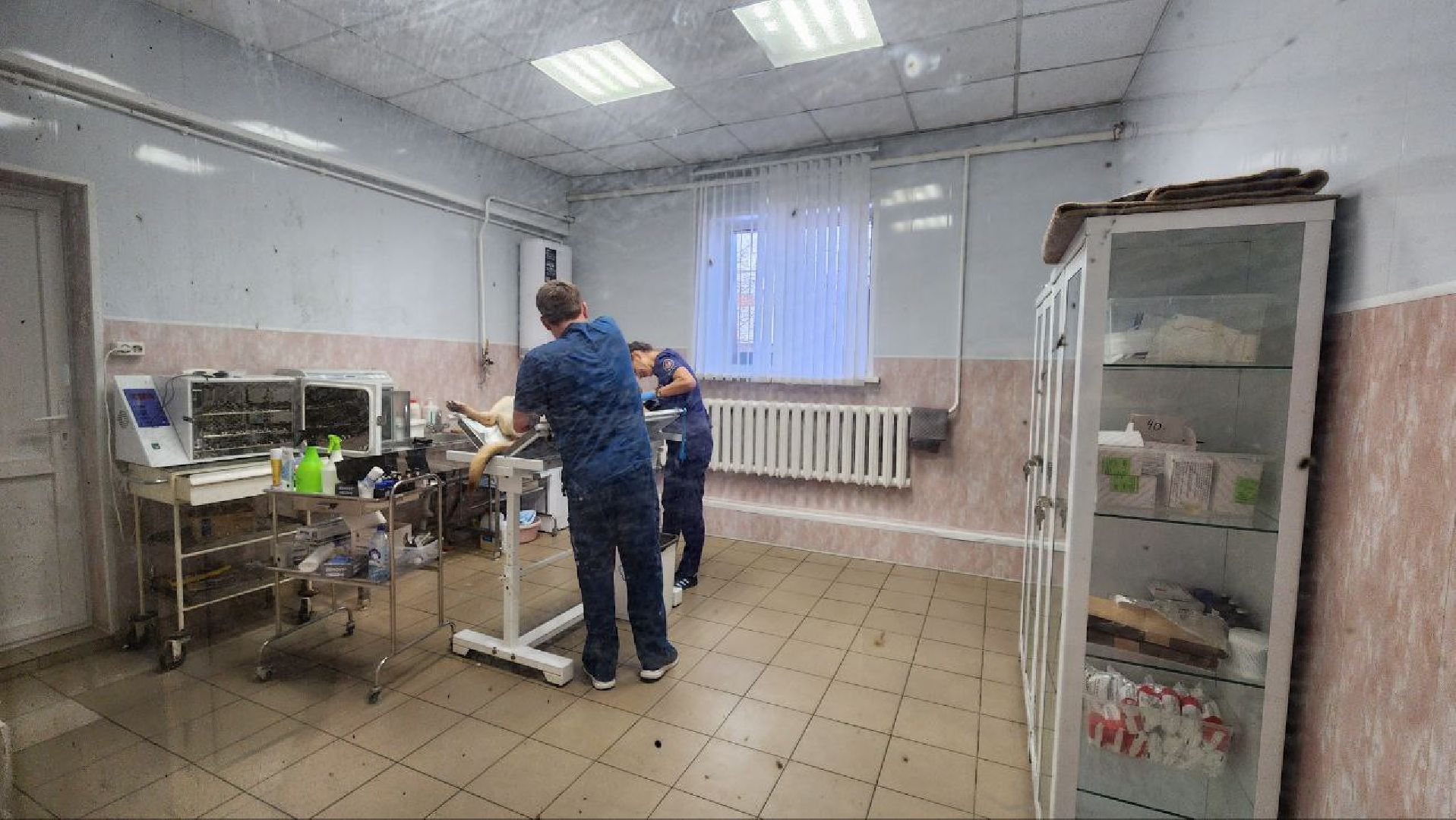 Дмитров, Дмитровская государственная ветеринарная клиника, Минсельхоз,