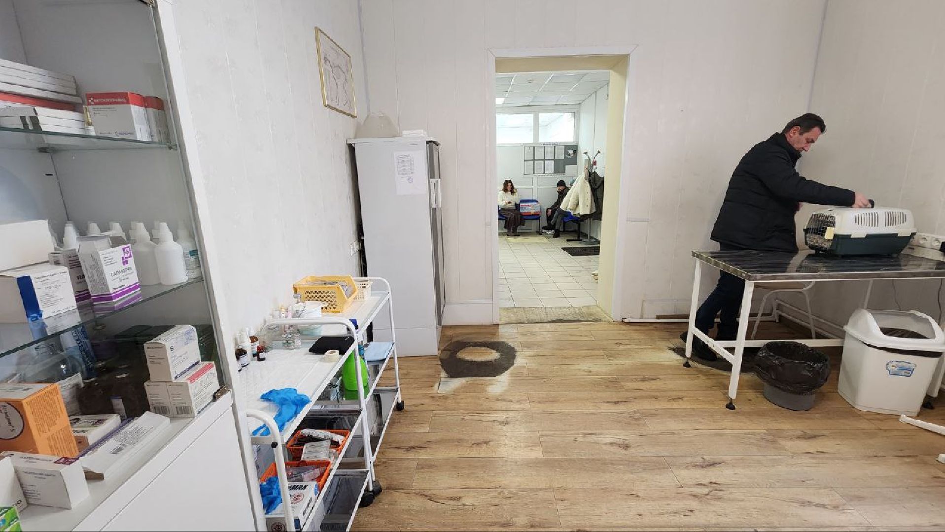 Дмитров, Дмитровская государственная ветеринарная клиника, Минсельхоз,