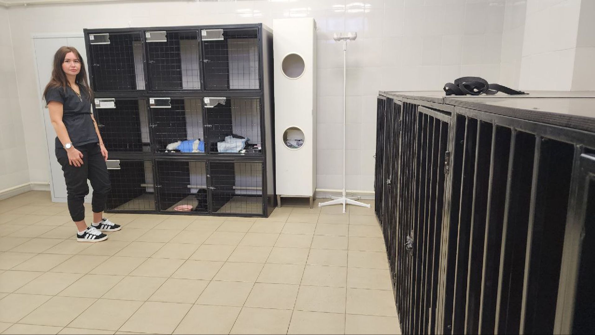 Дмитров, Дмитровская государственная ветеринарная клиника, Минсельхоз,