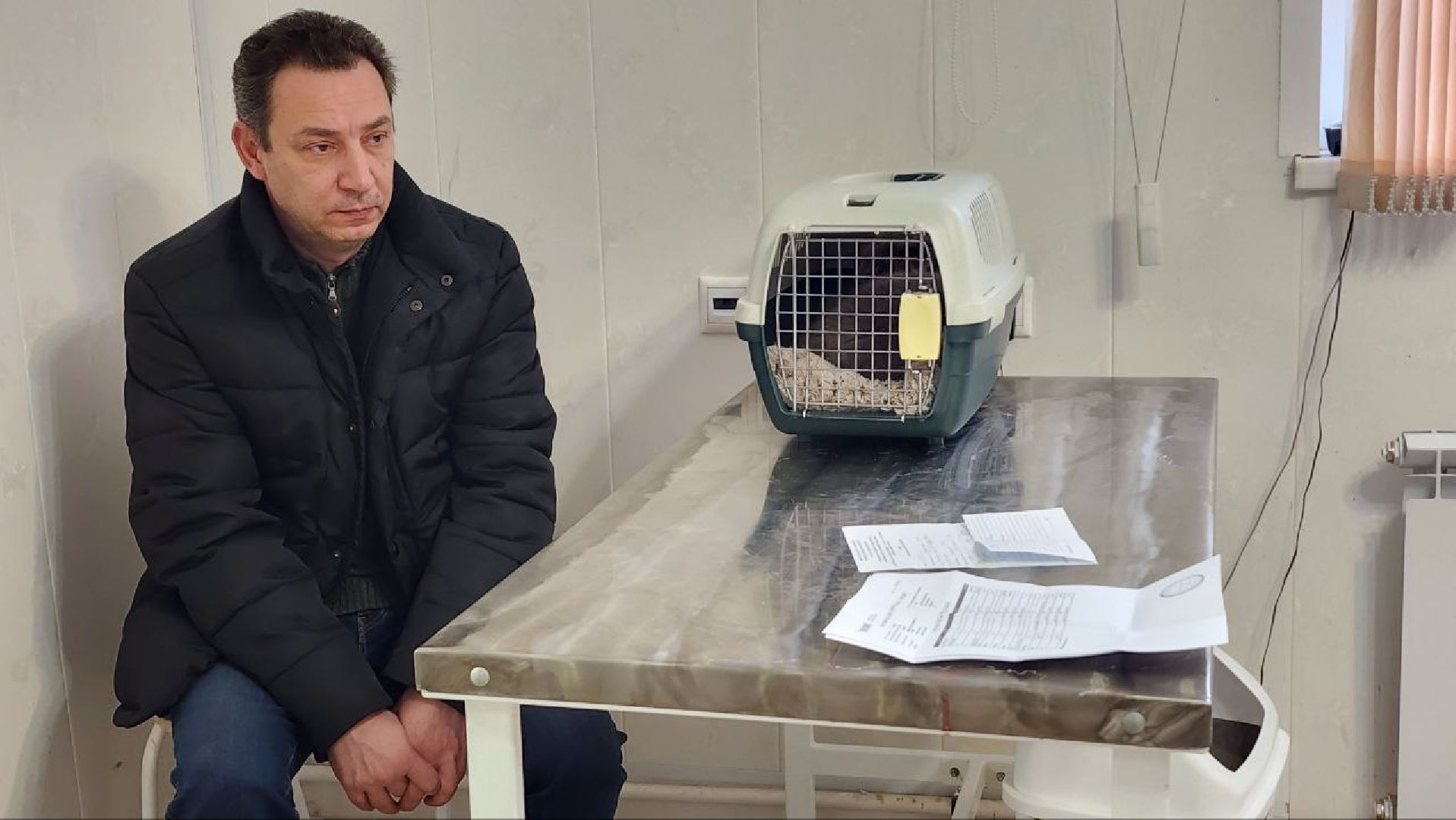 Дмитров, Дмитровская государственная ветеринарная клиника, Минсельхоз,