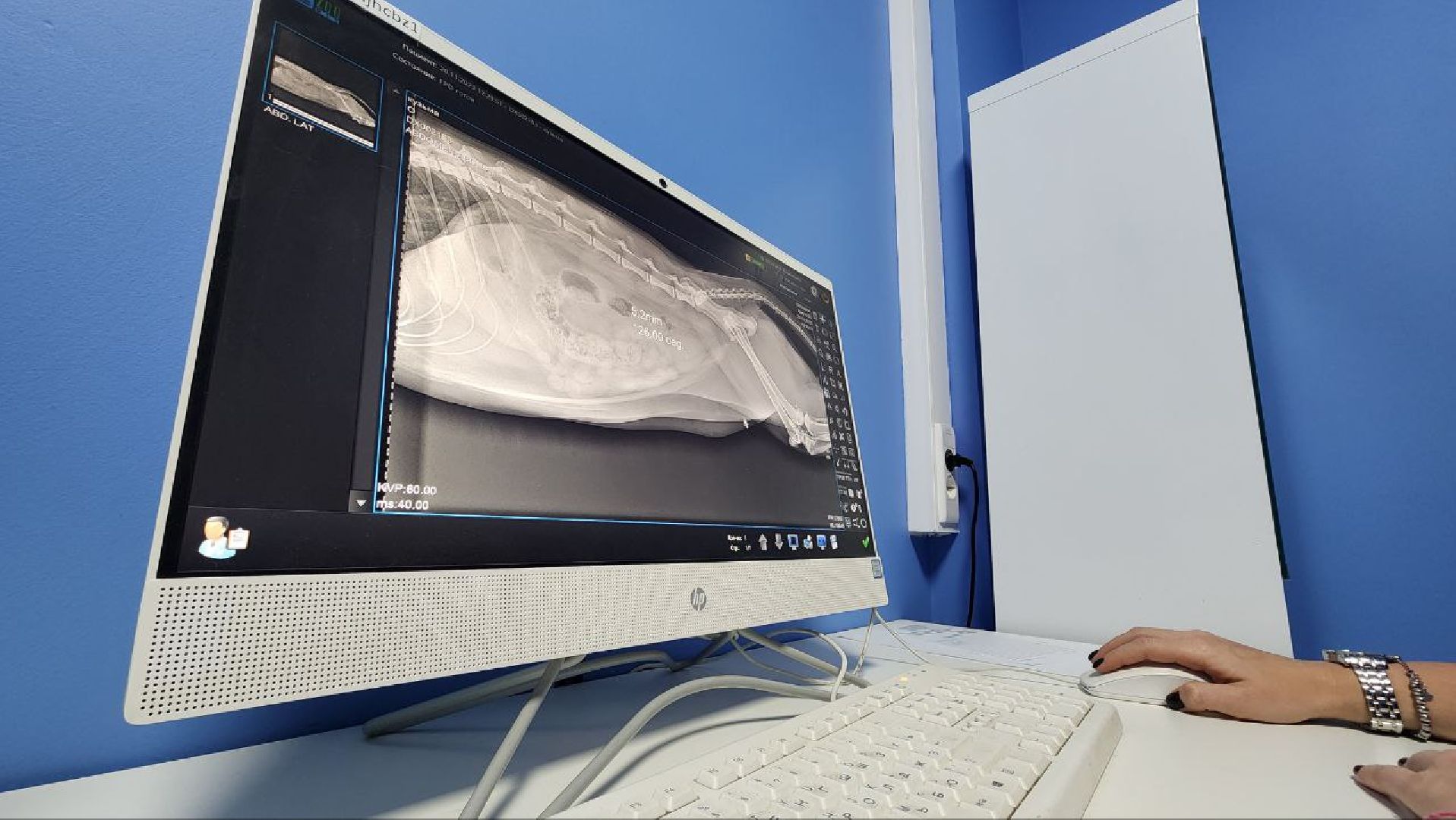 Дмитров, Дмитровская государственная ветеринарная клиника, Минсельхоз,