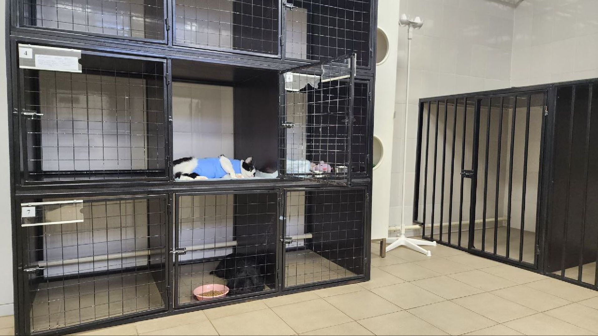 Дмитров, Дмитровская государственная ветеринарная клиника, Минсельхоз,