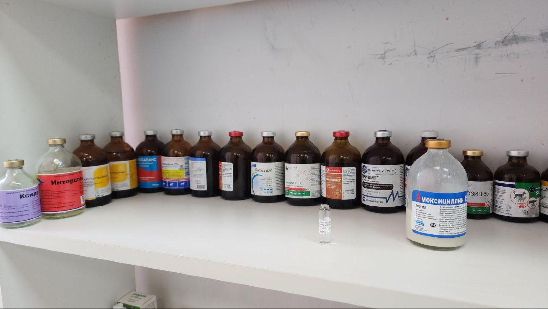 Дмитров, Дмитровская государственная ветеринарная клиника, Минсельхоз,