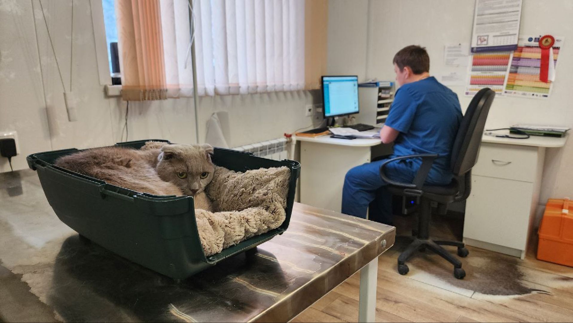 Дмитров, Дмитровская государственная ветеринарная клиника, Минсельхоз,