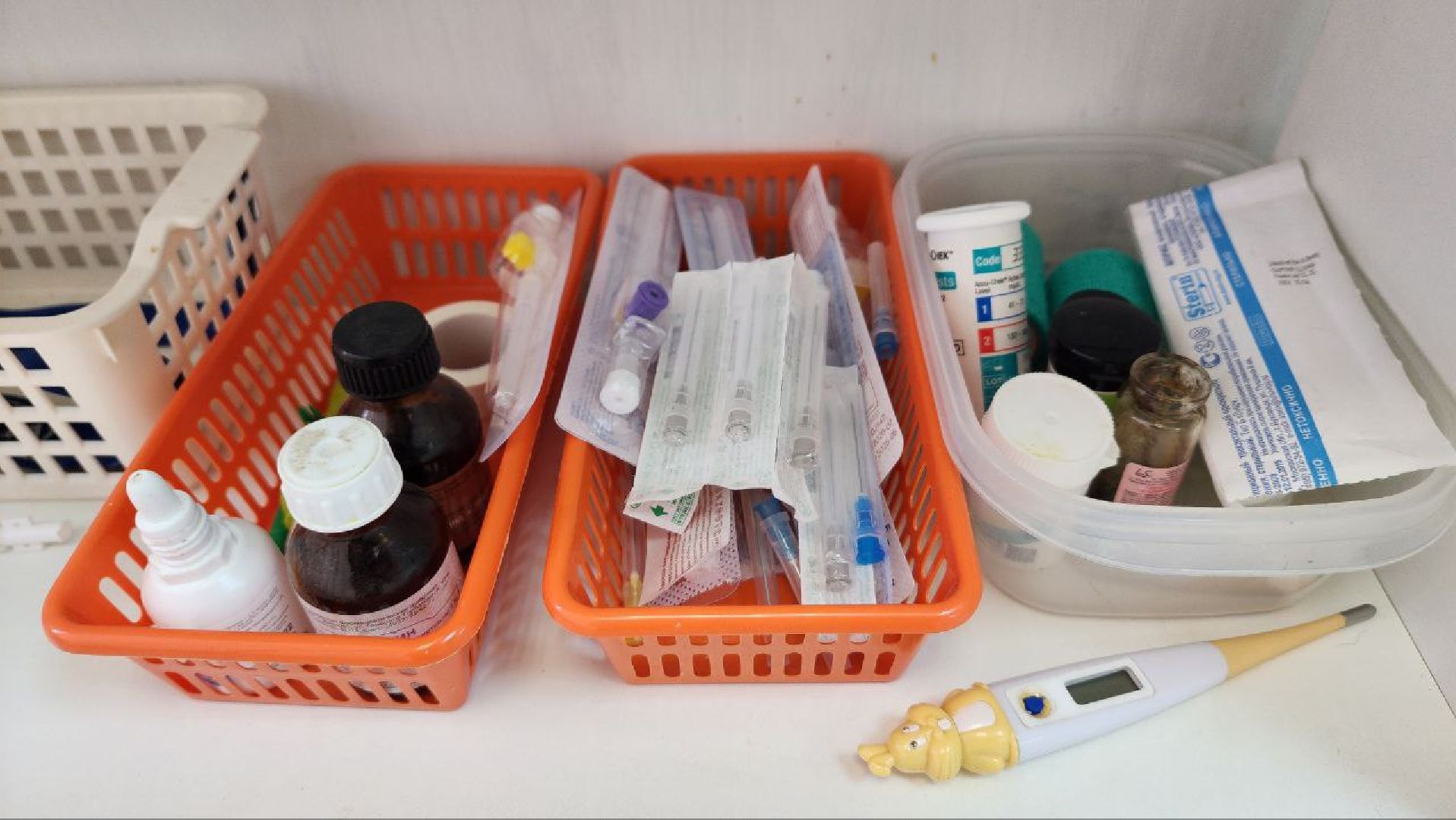 Дмитров, Дмитровская государственная ветеринарная клиника, Минсельхоз,