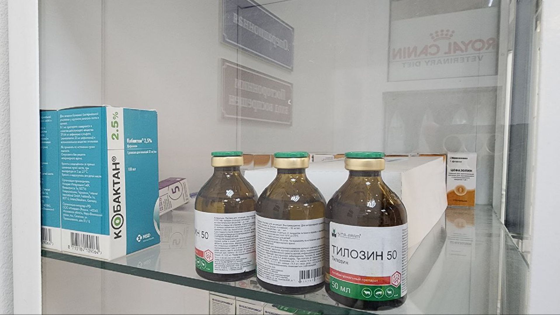 Дмитров, Дмитровская государственная ветеринарная клиника, Минсельхоз,