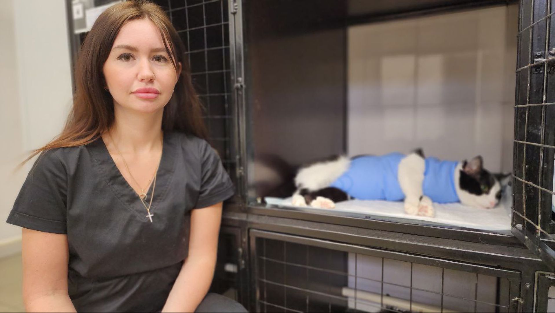 Дмитров, Дмитровская государственная ветеринарная клиника, Минсельхоз,