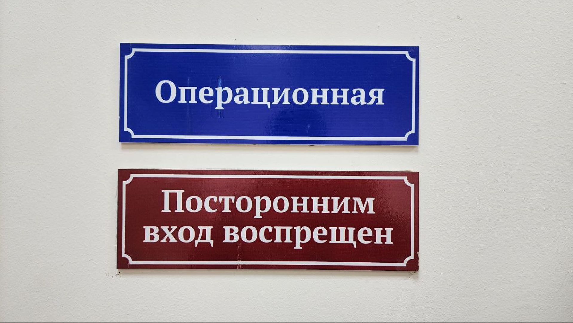 Дмитров, Дмитровская государственная ветеринарная клиника, Минсельхоз,