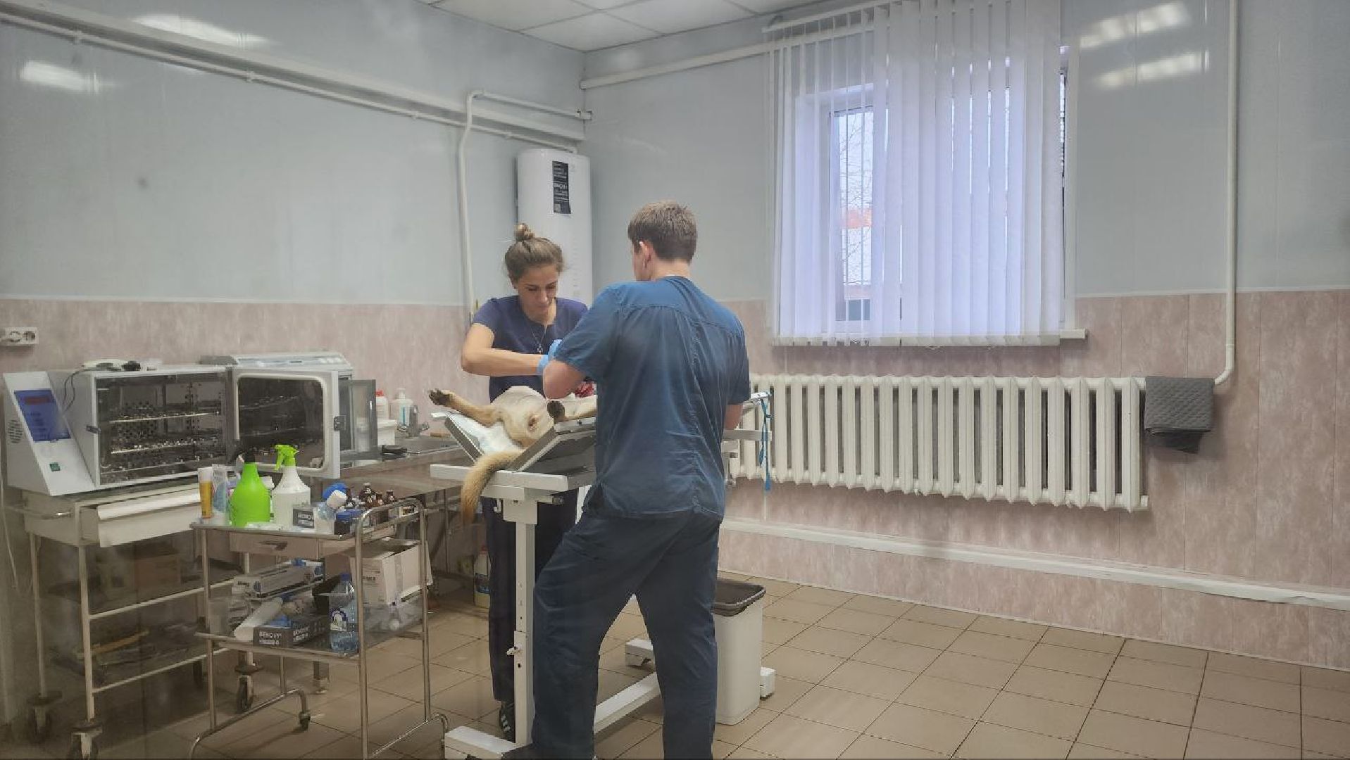 Дмитров, Дмитровская государственная ветеринарная клиника, Минсельхоз,