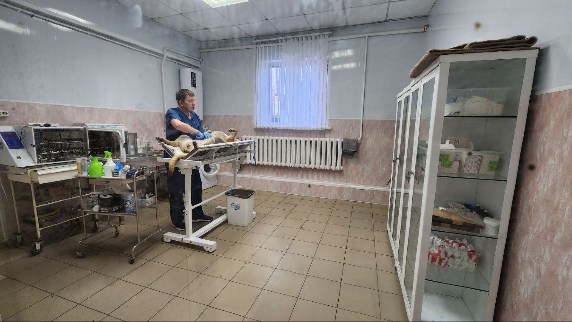 Дмитров, Дмитровская государственная ветеринарная клиника, Минсельхоз,