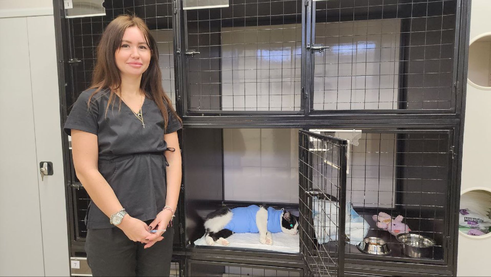 Дмитров, Дмитровская государственная ветеринарная клиника, Минсельхоз,