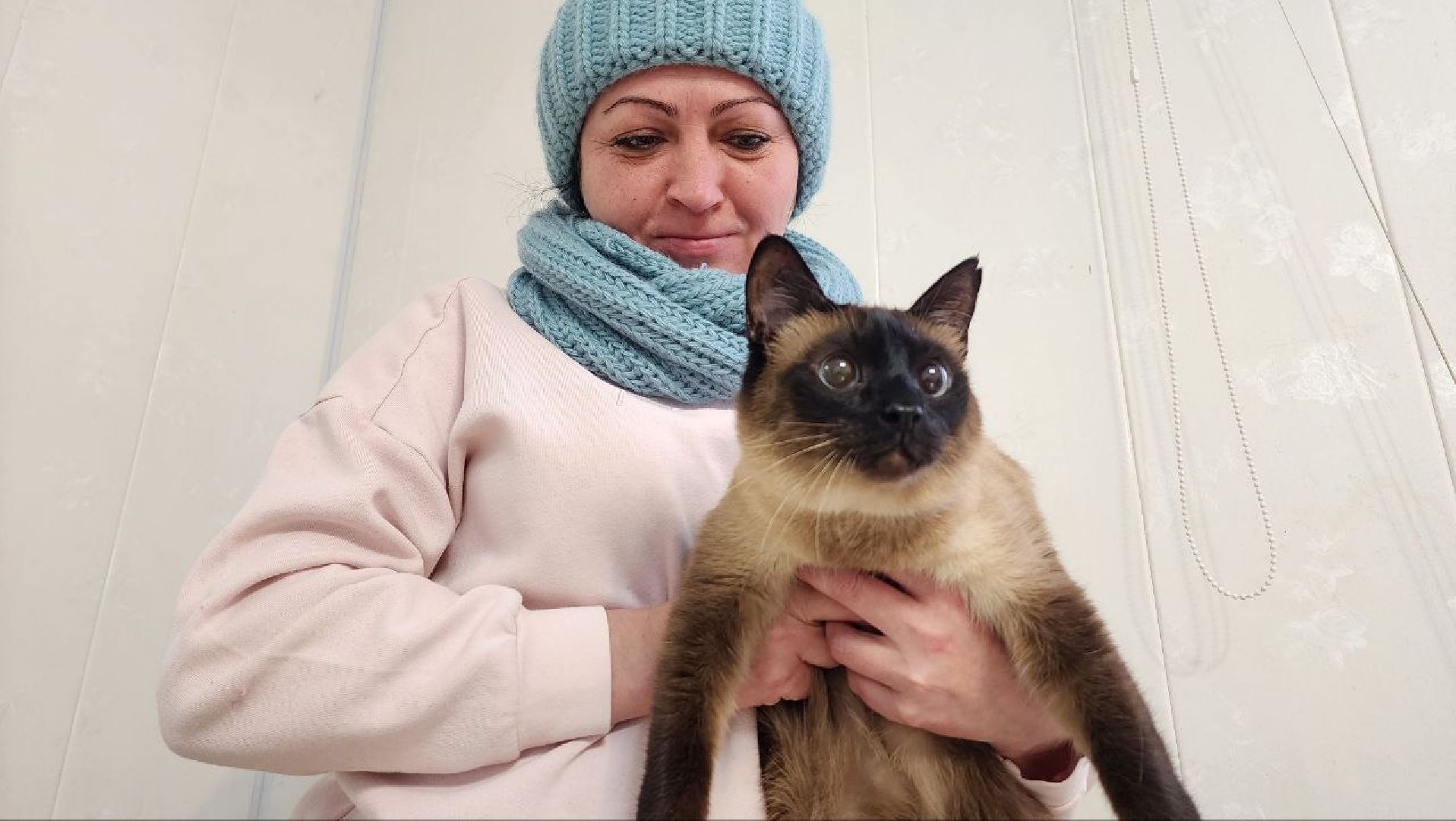 Дмитров, Дмитровская государственная ветеринарная клиника, Минсельхоз,