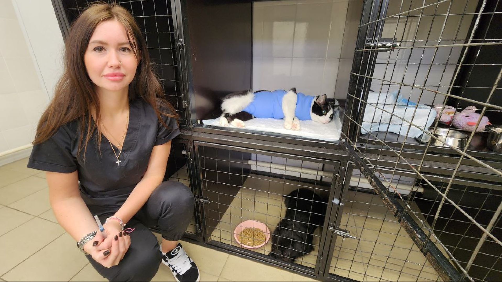 Дмитров, Дмитровская государственная ветеринарная клиника, Минсельхоз,