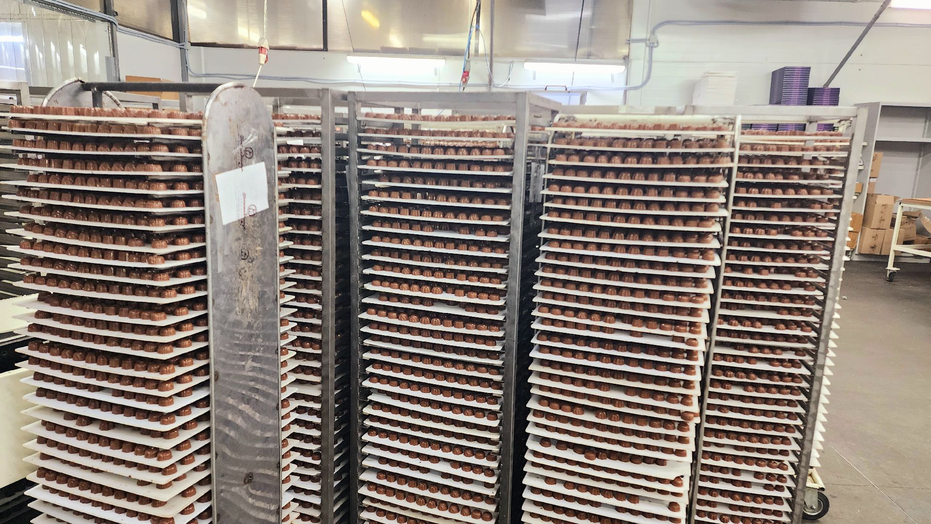 домодедово, Шоколадница, Подмосковье, Концерн Шоколадница, Экономика округа, город Домодедово, Округ Домодедово, Сладости, Шоколадный цех, Новогодний подарок, Сладкий подарок, Премиум шоколад, шоколадные плитки, Домодедовские сладости, Глазурь, начинка, Международная арена, ОАЭ, Дубай, цех производства, Производственный цех, СТМ, лицензионная продукция,