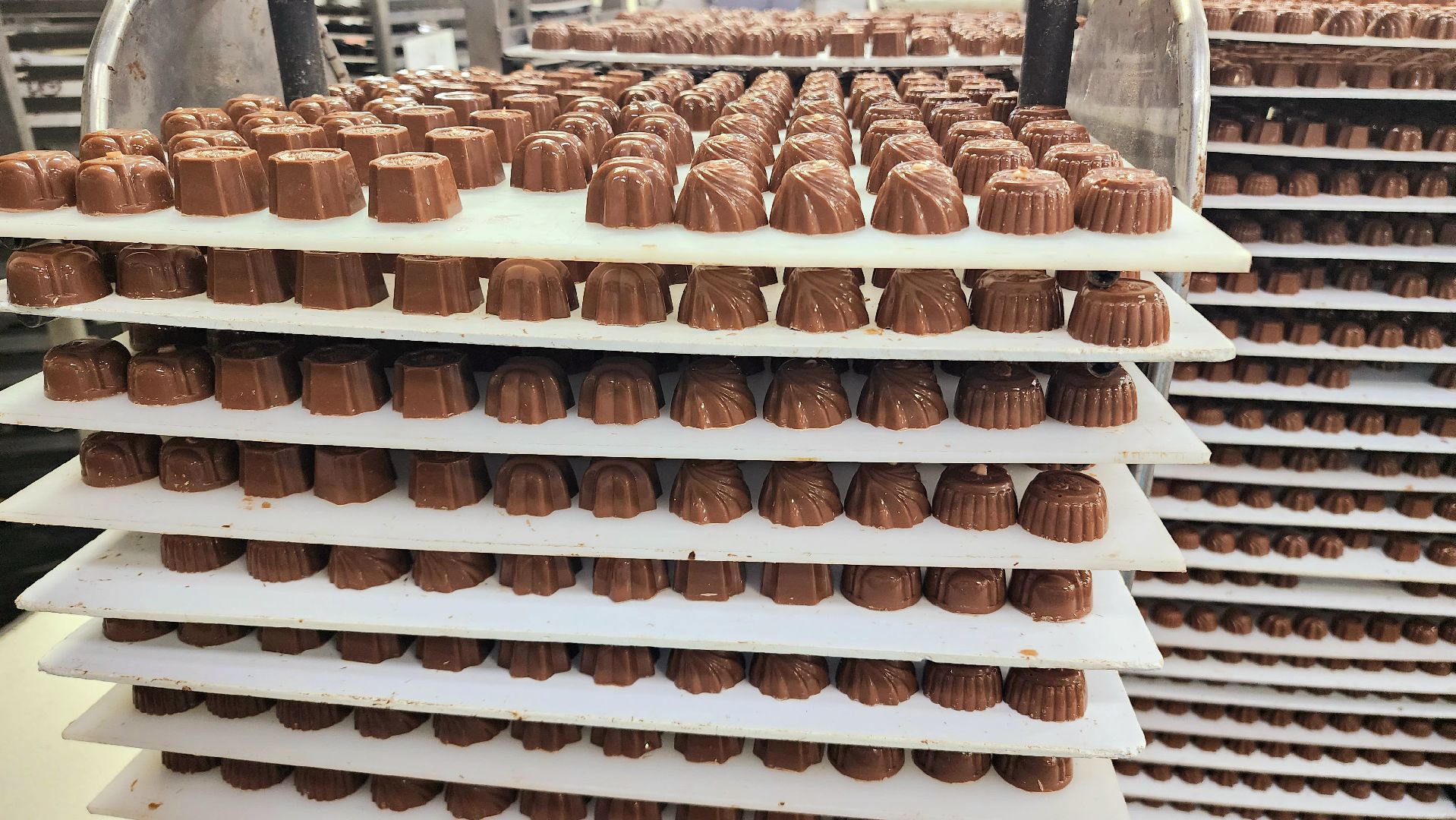 домодедово, Шоколадница, Подмосковье, Концерн Шоколадница, Экономика округа, город Домодедово, Округ Домодедово, Сладости, Шоколадный цех, Новогодний подарок, Сладкий подарок, Премиум шоколад, шоколадные плитки, Домодедовские сладости, Глазурь, начинка, Международная арена, ОАЭ, Дубай, цех производства, Производственный цех, СТМ, лицензионная продукция,