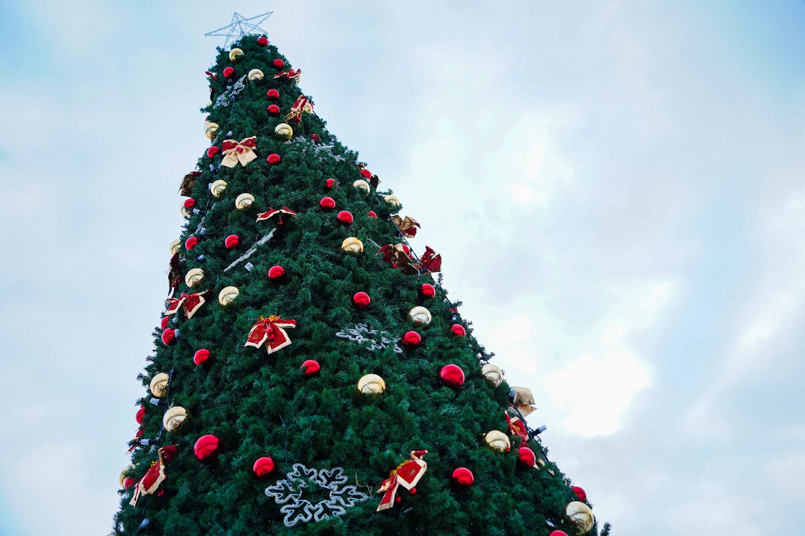 Дедморобус, Большая Шатура, Новый год,