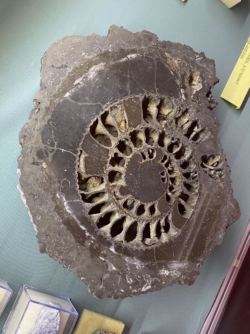 волоколамск, волоколамский кремль, музей, камни, метеориты,