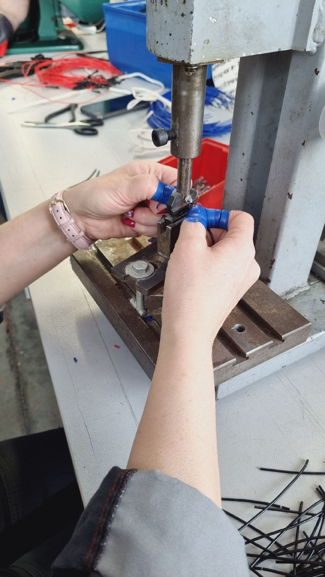 Подмосковье, Ивантеевка, импортозамещение,