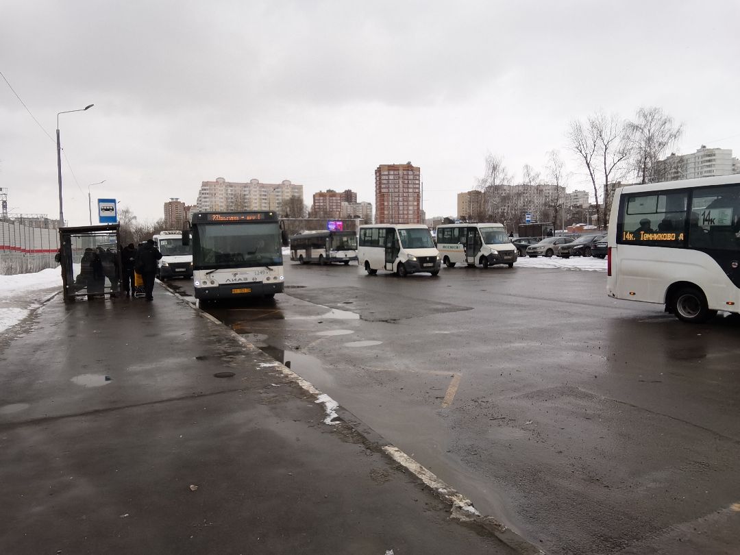 Балашиха, транспорт, НамПоПути, Павлино, Ольгино, Транспорт Подмосковья, Анна Кротова, Подольск, общественный транспорт, ЖК, станция ж/д, метро