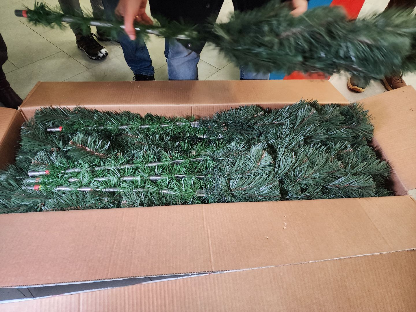 Новыйгод, Школа, Депутаты,