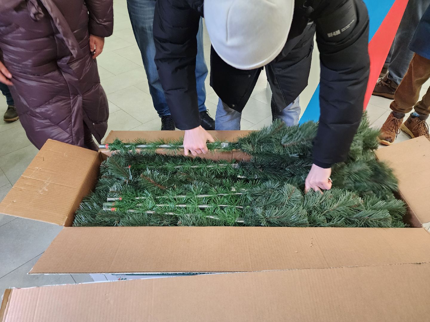 Новыйгод, Школа, Депутаты,