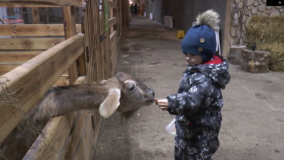 Дмитров, сельское хозяйство