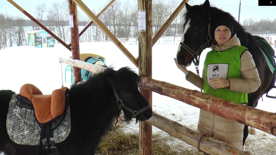 Дмитров, сельское хозяйство