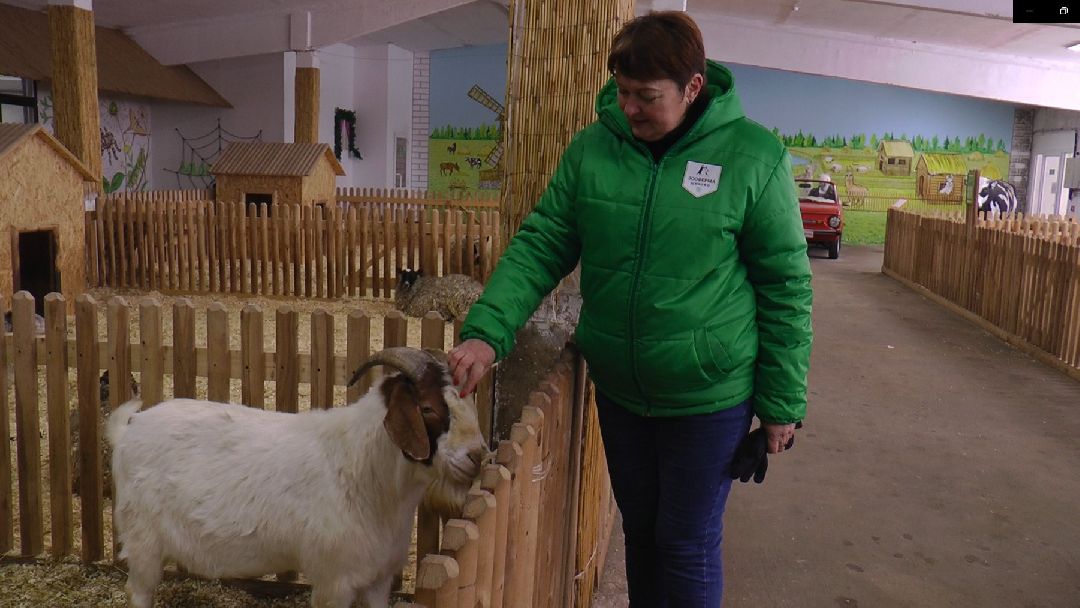 Дмитров, сельское хозяйство