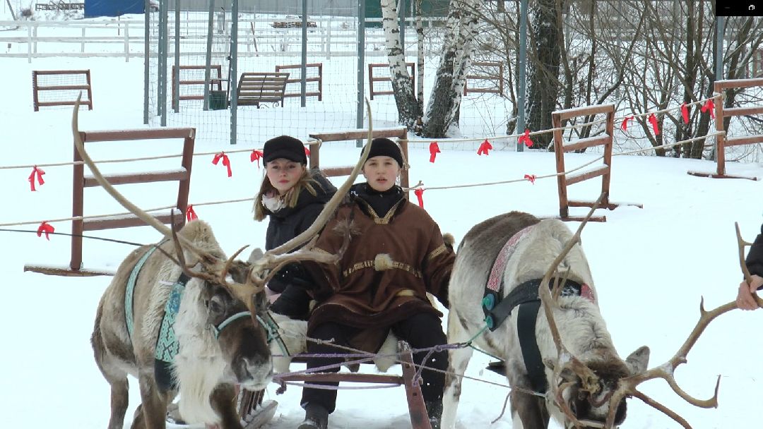 Дмитров, сельское хозяйство