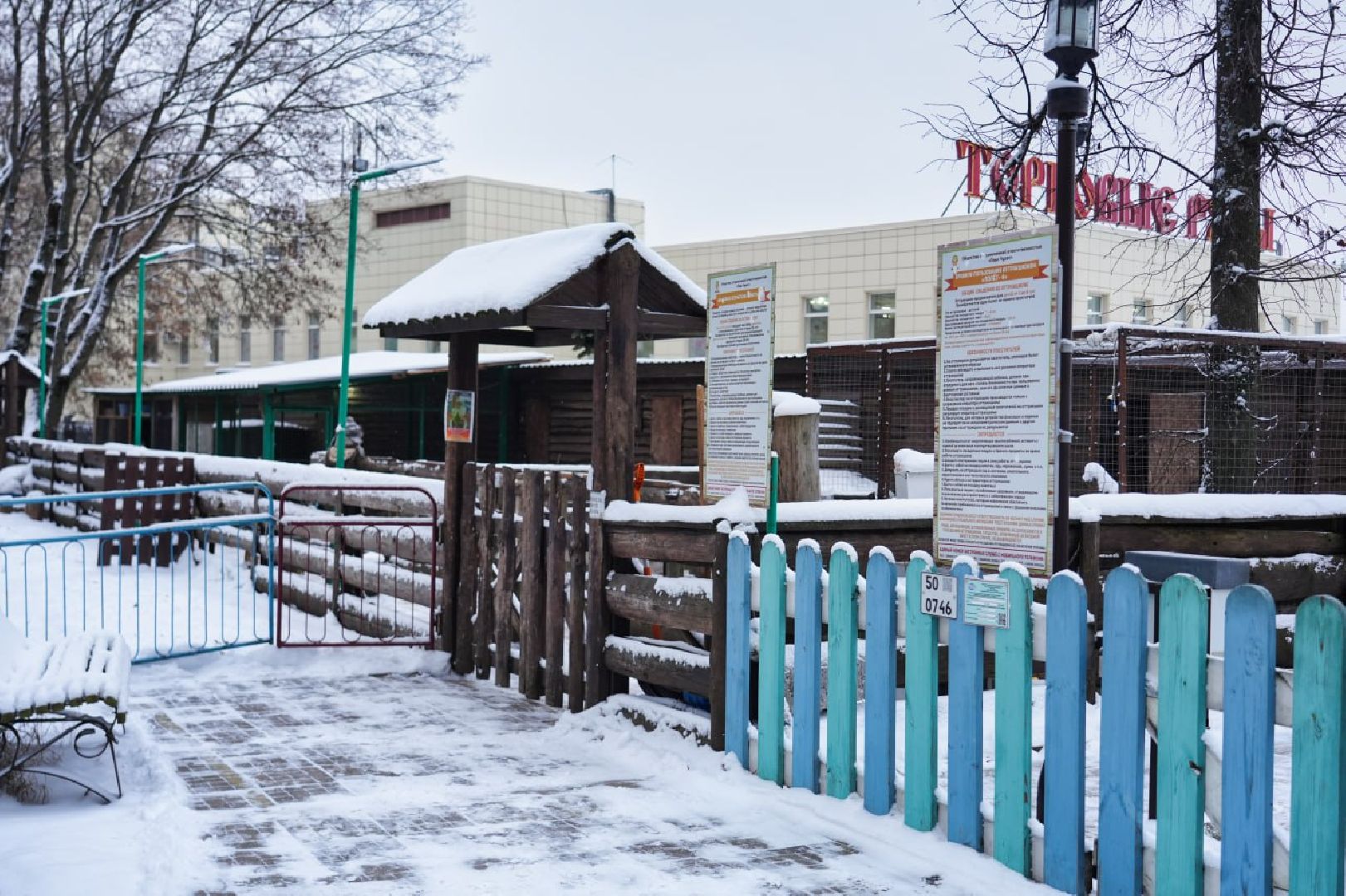 Сергиев Посад, Лебеди, Птицы, Животные, Парк Чудес,