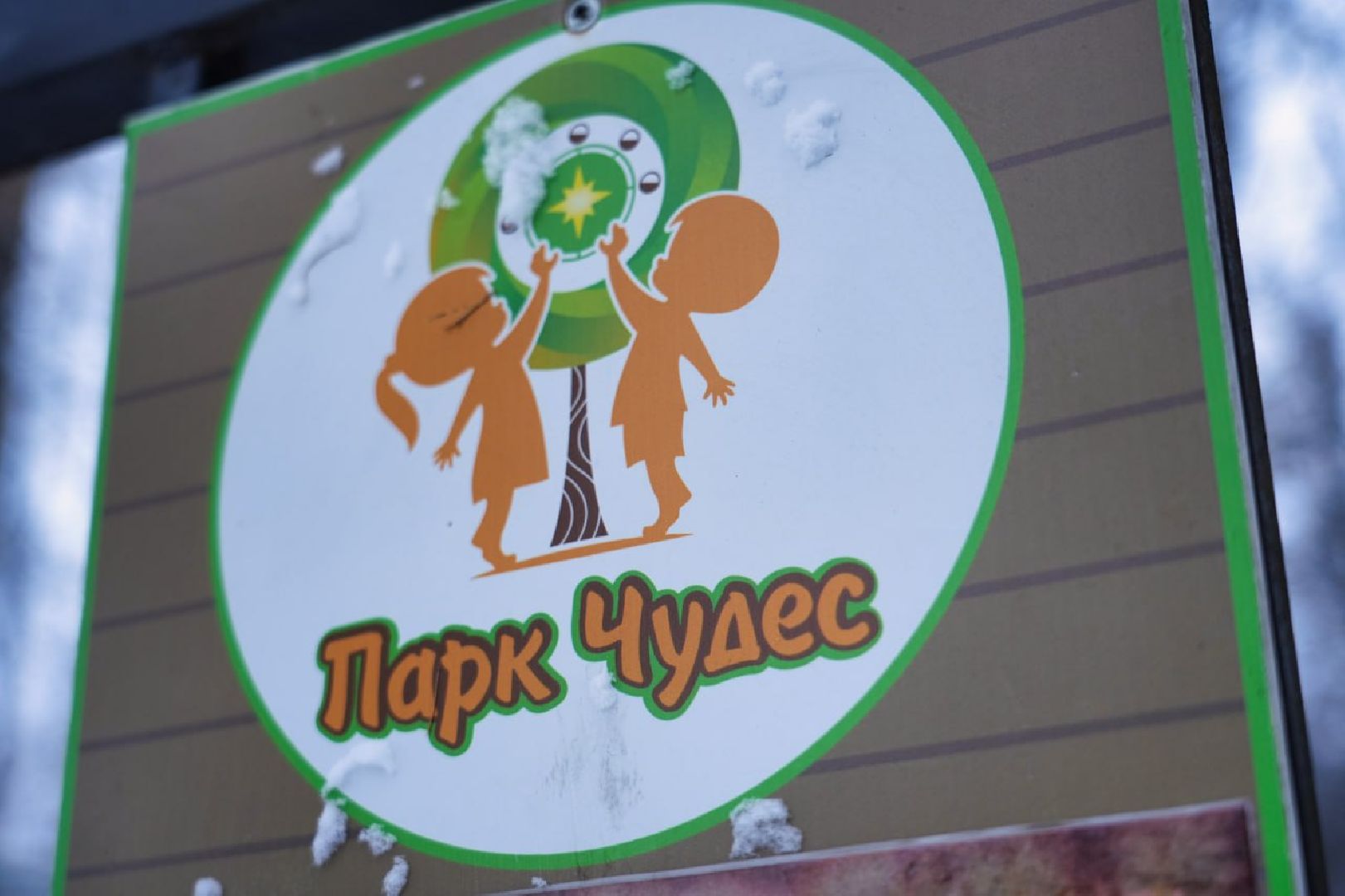 Сергиев Посад, Лебеди, Птицы, Животные, Парк Чудес,