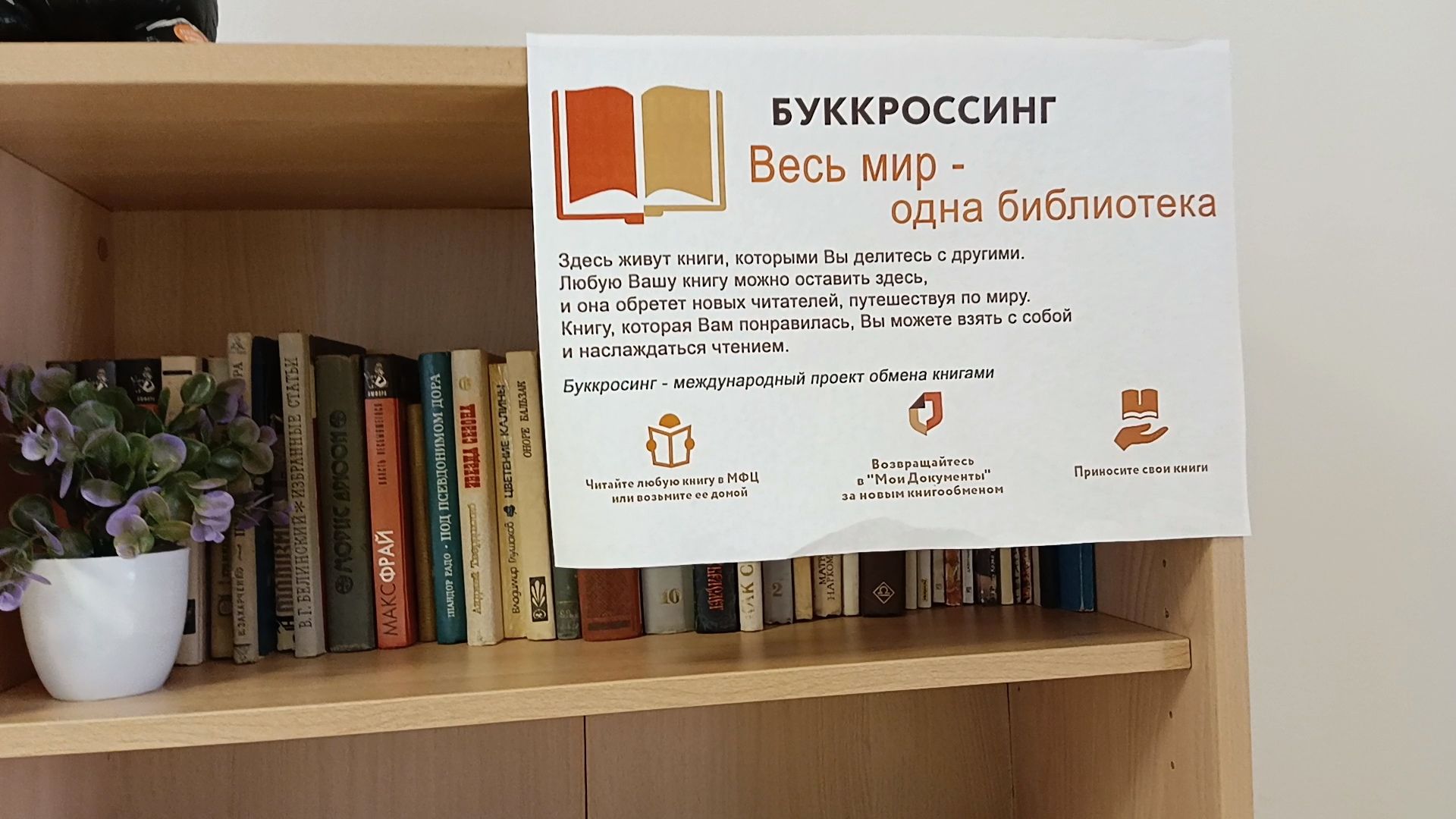 Коломна, буккроссинг, мфц, обмен книгами,