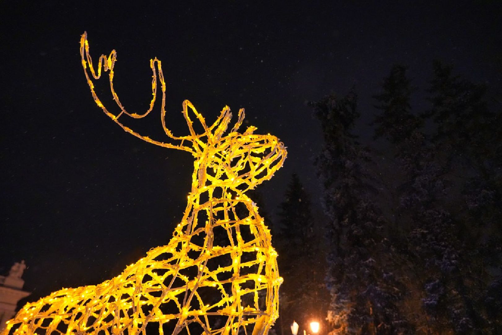 Сергиев Посад, Украшения, Новый год, Праздник, Иллюминация, Благоустройство,